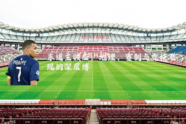 东道主效应:地理、赛制与竞技表现的深层博弈